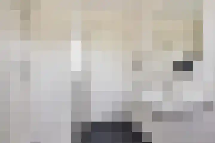 De Potten 51 Offingawier thumbnail 33