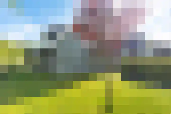 De Potten 51 Offingawier thumbnail 35