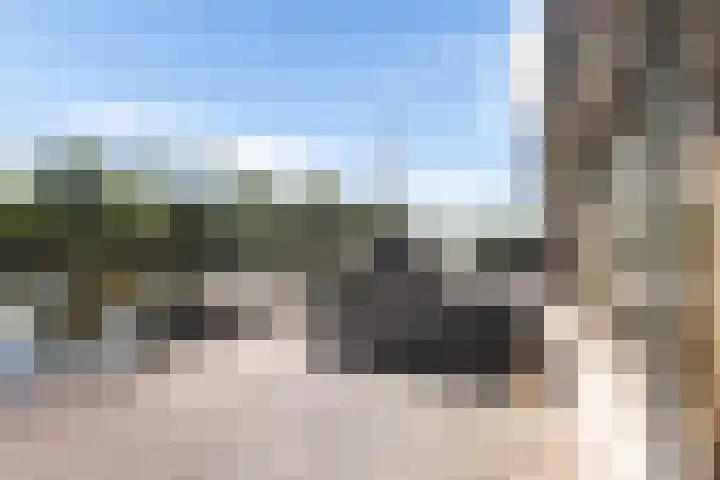 De Potten 51 Offingawier thumbnail 36