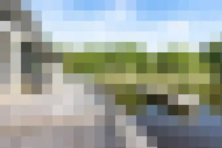 De Potten 51 Offingawier thumbnail 37