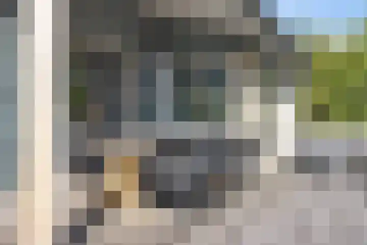 De Potten 51 Offingawier thumbnail 38