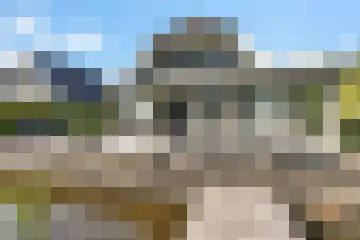 De Potten 51 Offingawier thumbnail 40