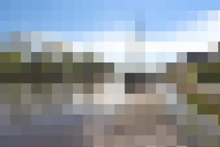 De Potten 51 Offingawier thumbnail 41