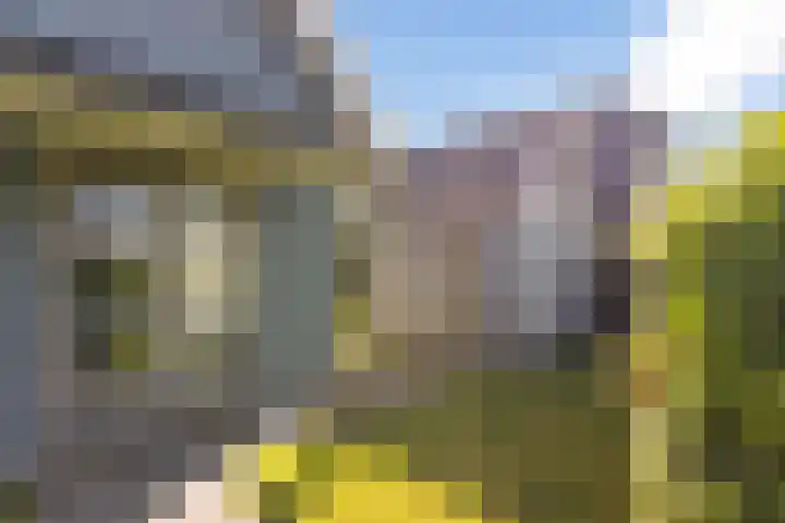 De Potten 51 Offingawier thumbnail 43