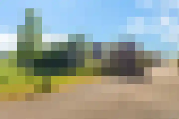 De Potten 51 Offingawier thumbnail 44