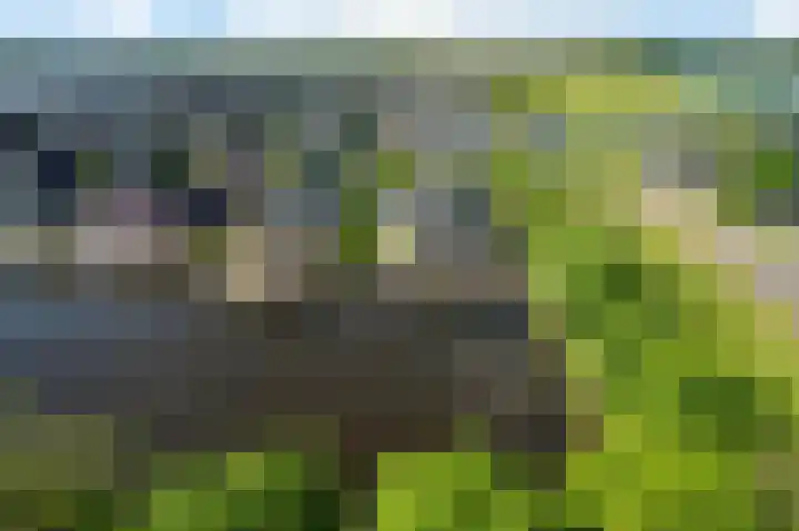 De Potten 51 Offingawier thumbnail 45