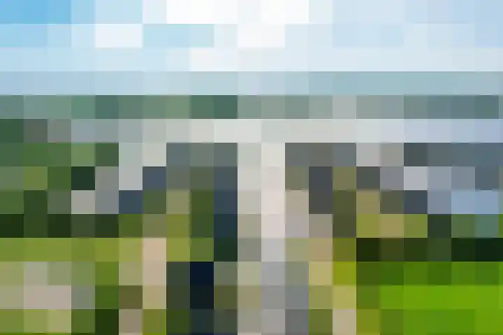 De Potten 51 Offingawier thumbnail 46