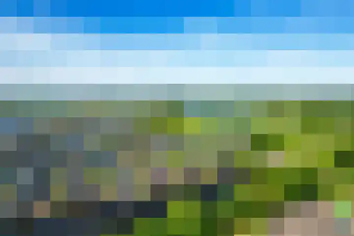 De Potten 51 Offingawier thumbnail 47