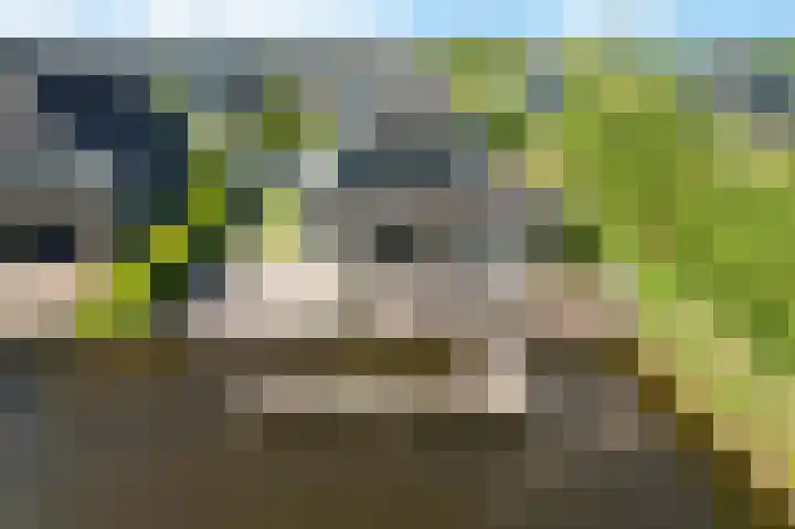 De Potten 51 Offingawier thumbnail 56