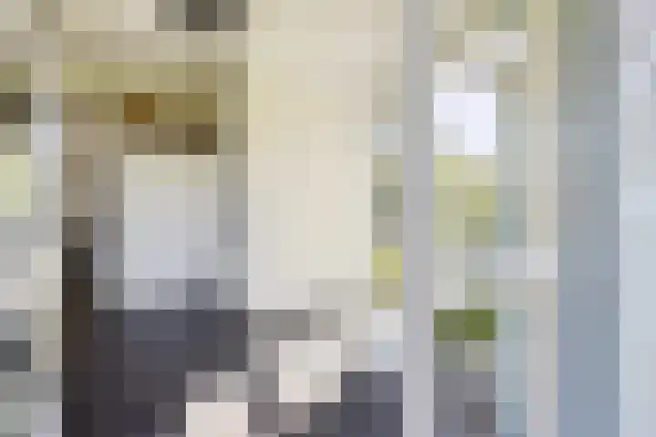 De Potten 51 Offingawier thumbnail 6