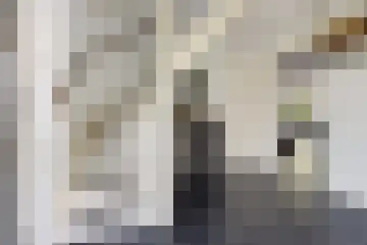 De Potten 51 Offingawier thumbnail 7
