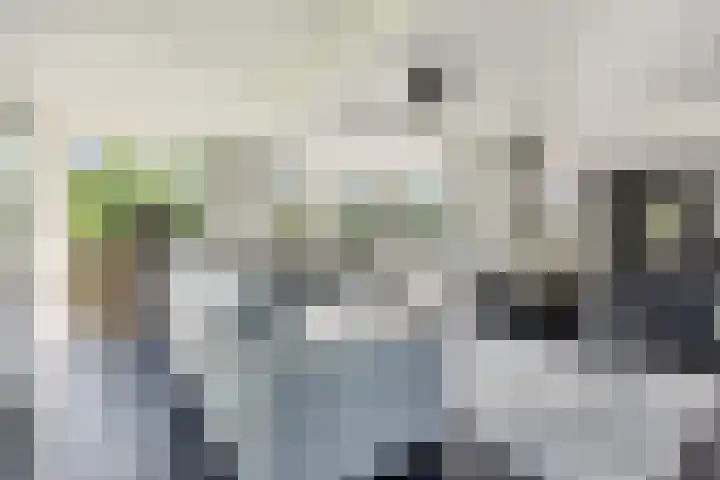 De Potten 51 Offingawier thumbnail 9