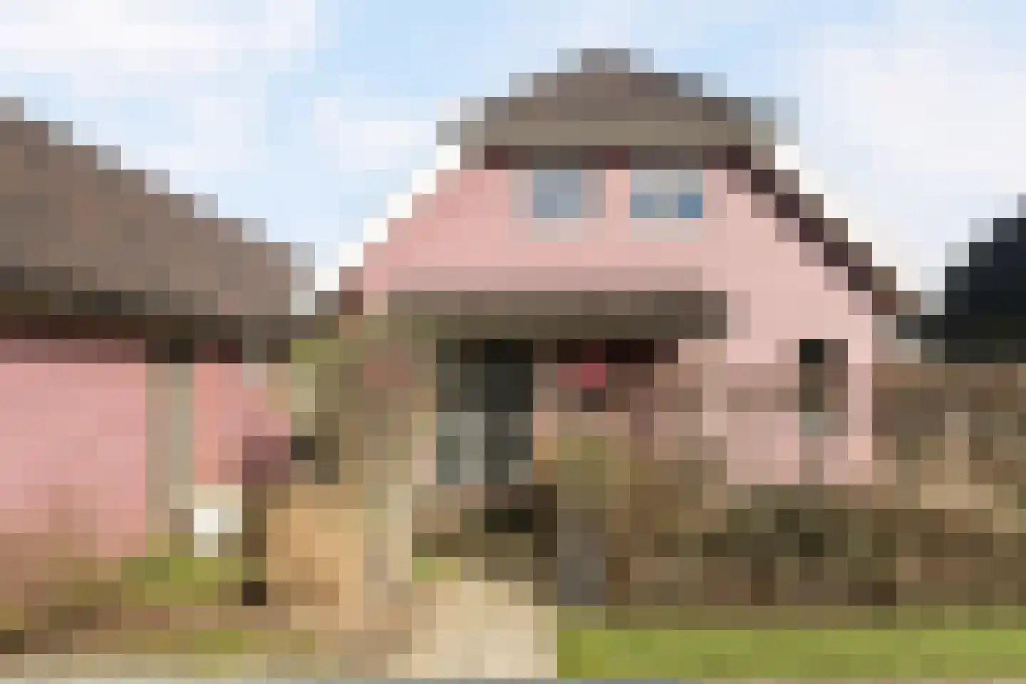 De Potten 53 Offingawier thumbnail 10