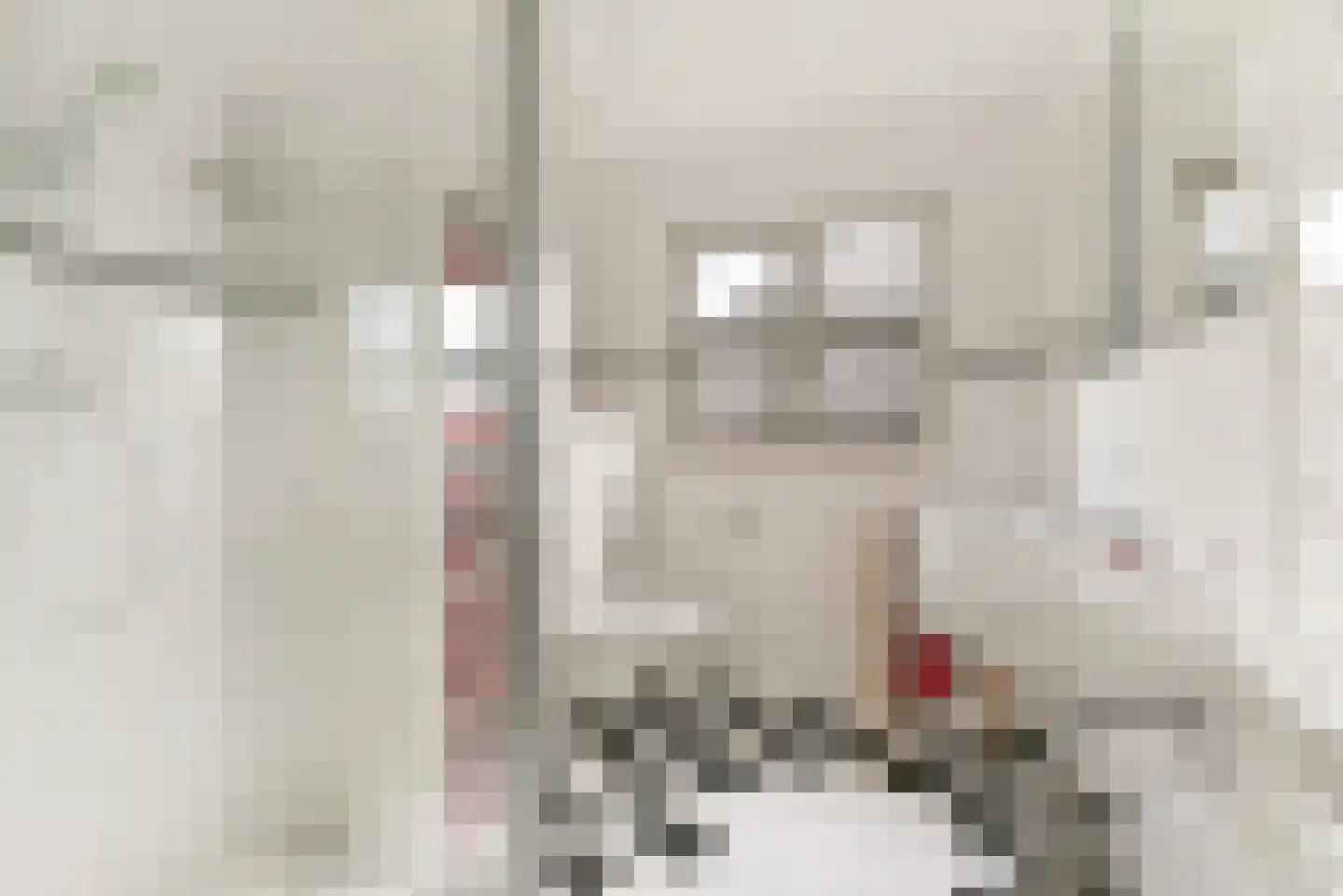 De Potten 53 Offingawier thumbnail 20