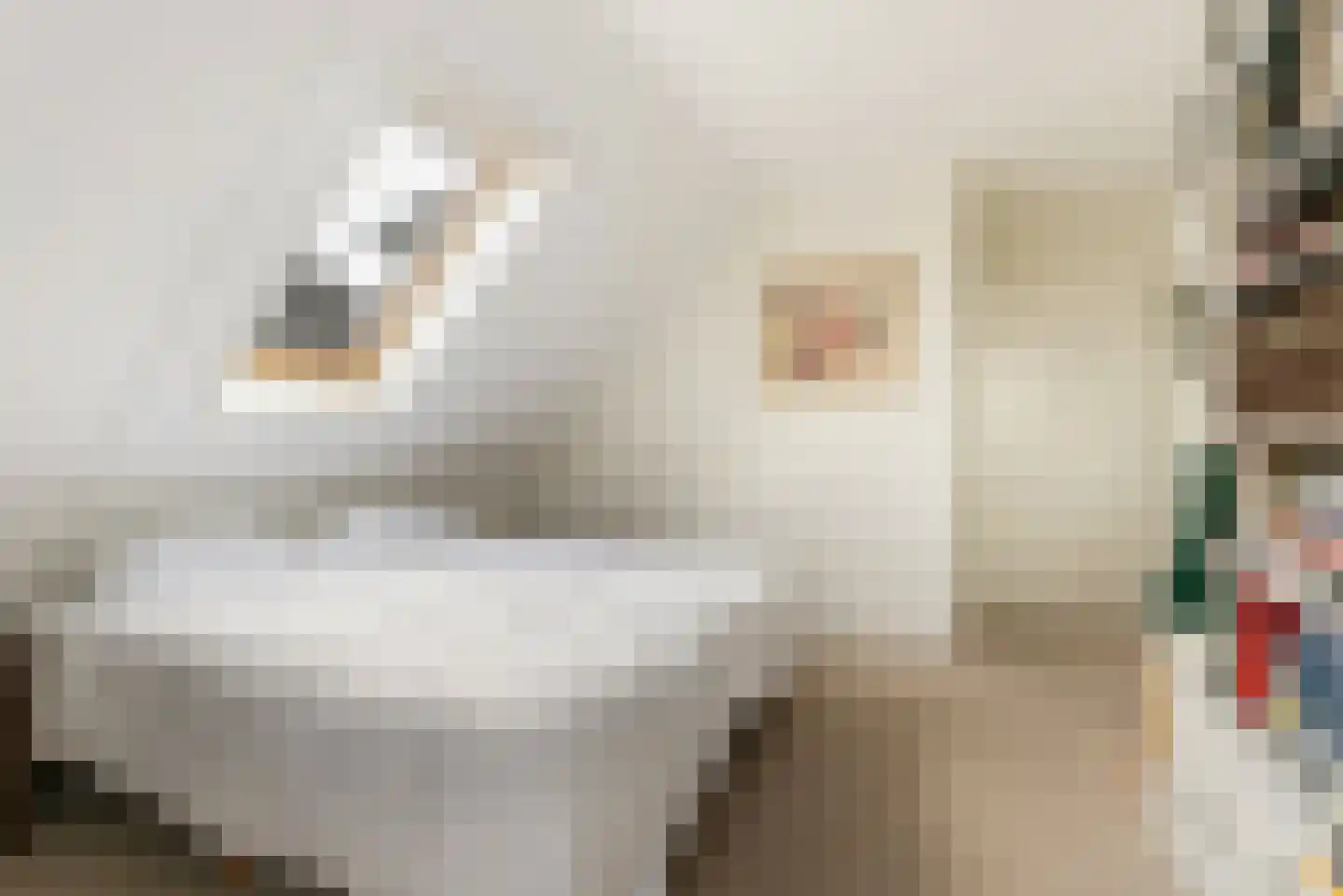 De Potten 53 Offingawier thumbnail 23
