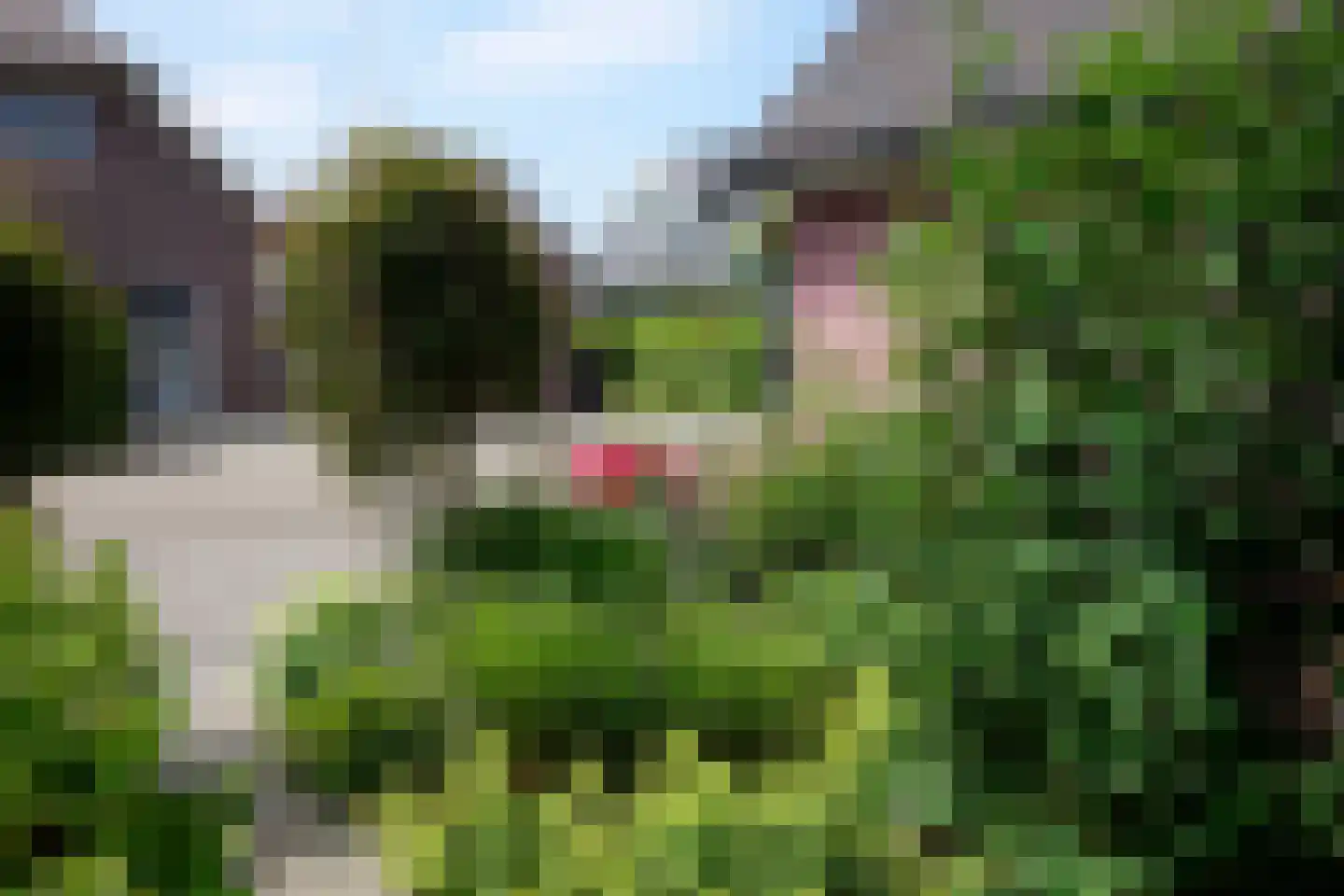 De Potten 53 Offingawier thumbnail 27