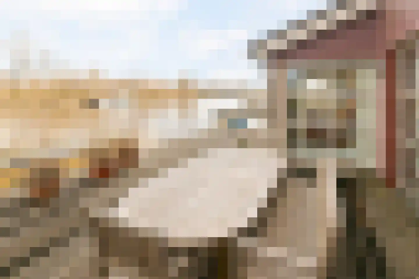 De Potten 53 Offingawier thumbnail 28