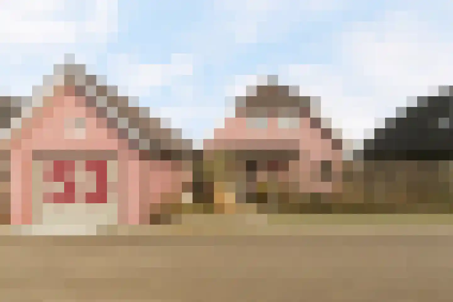 De Potten 53 Offingawier thumbnail 5