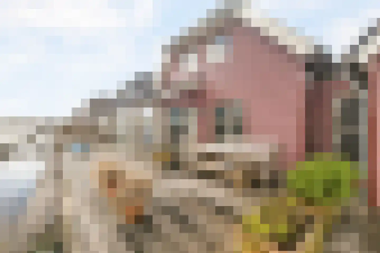 De Potten 53 Offingawier thumbnail 9