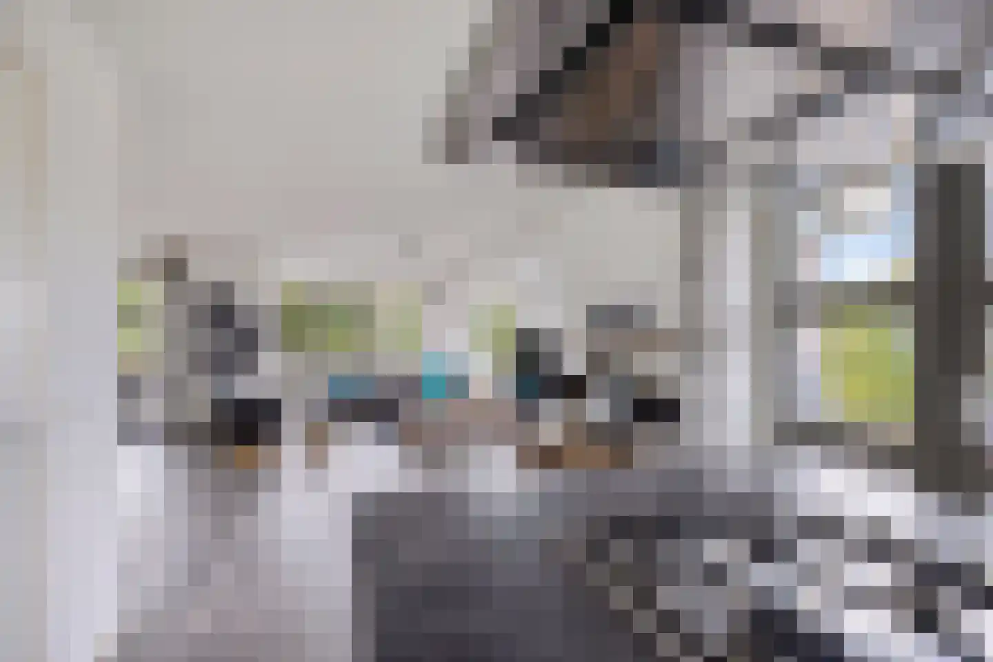 De Potten 56 Offingawier thumbnail 10