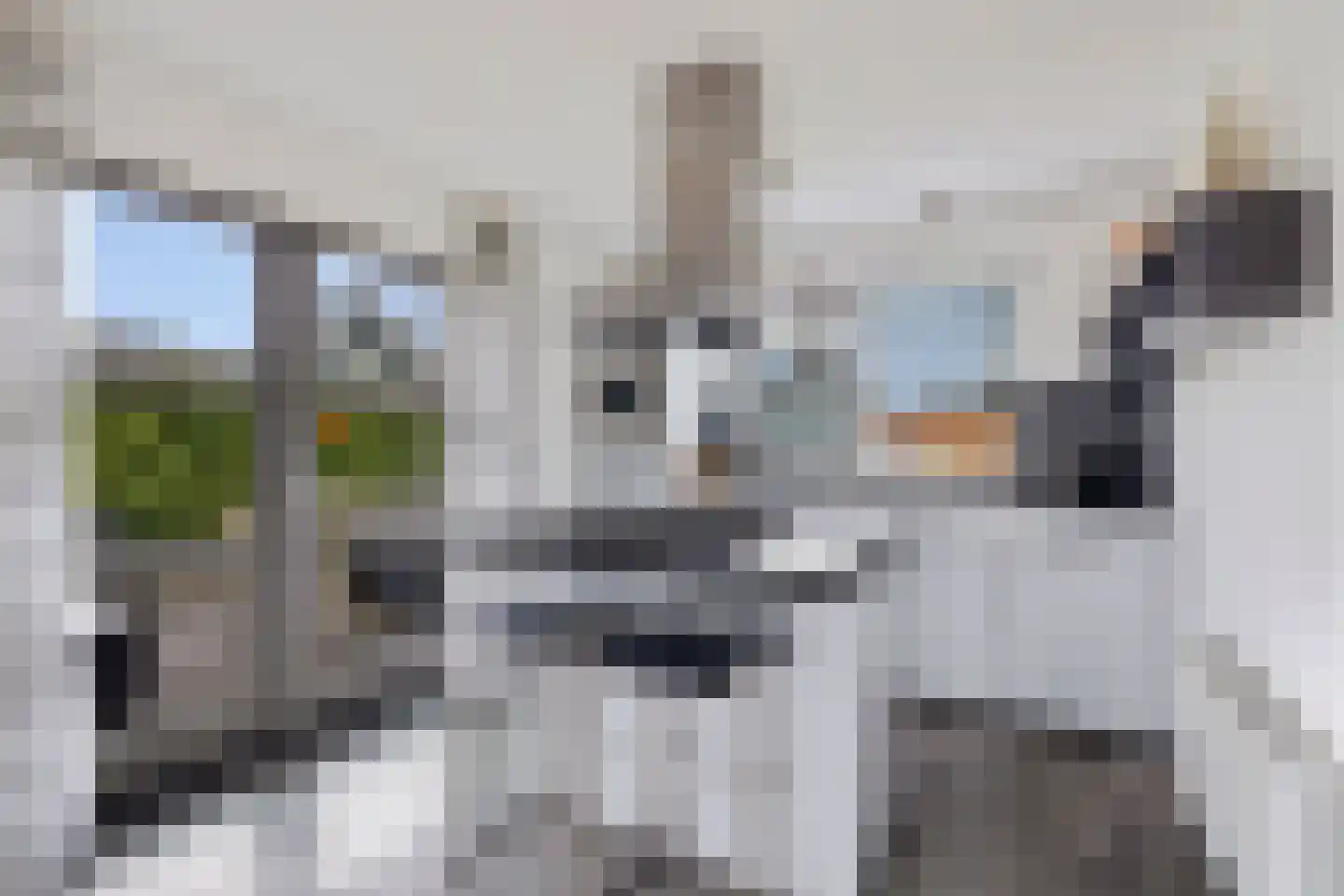 De Potten 56 Offingawier thumbnail 12