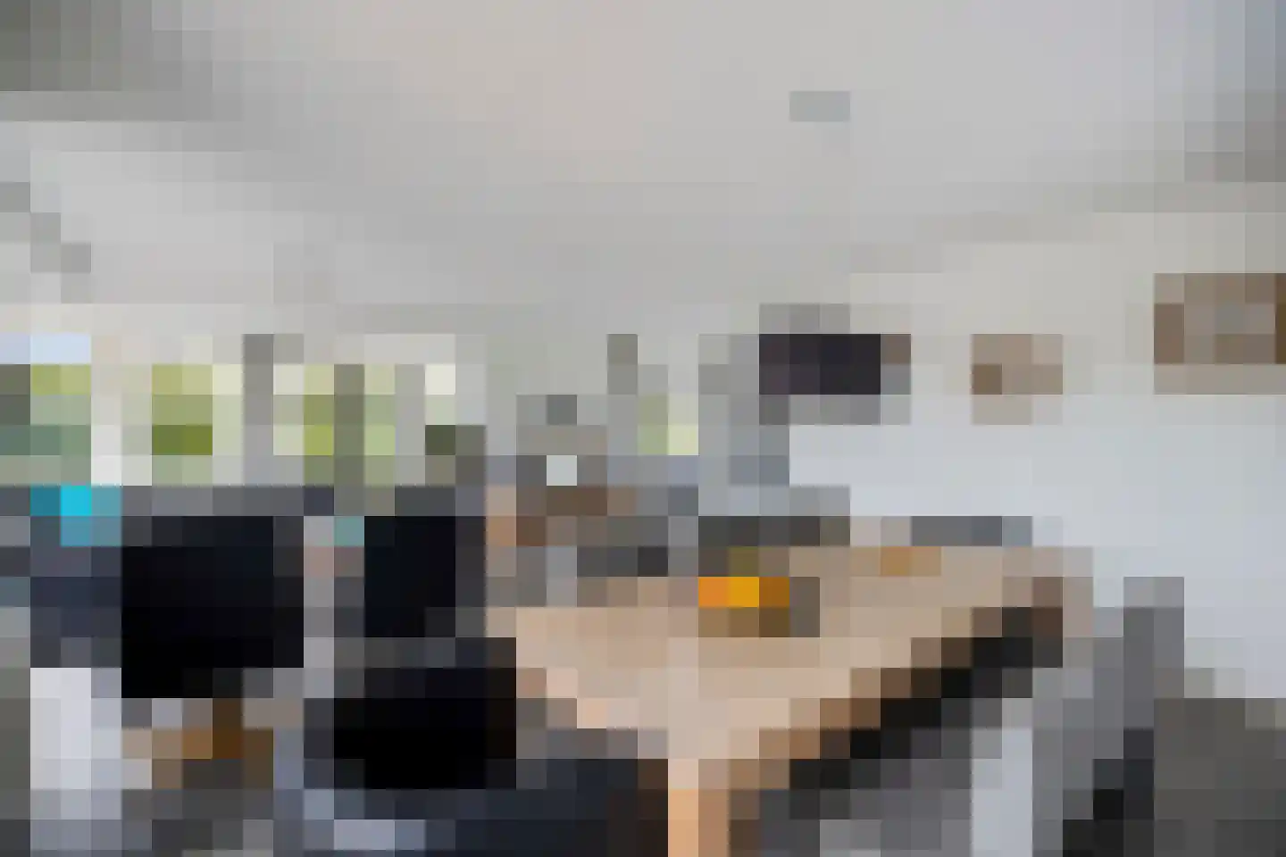 De Potten 56 Offingawier thumbnail 13