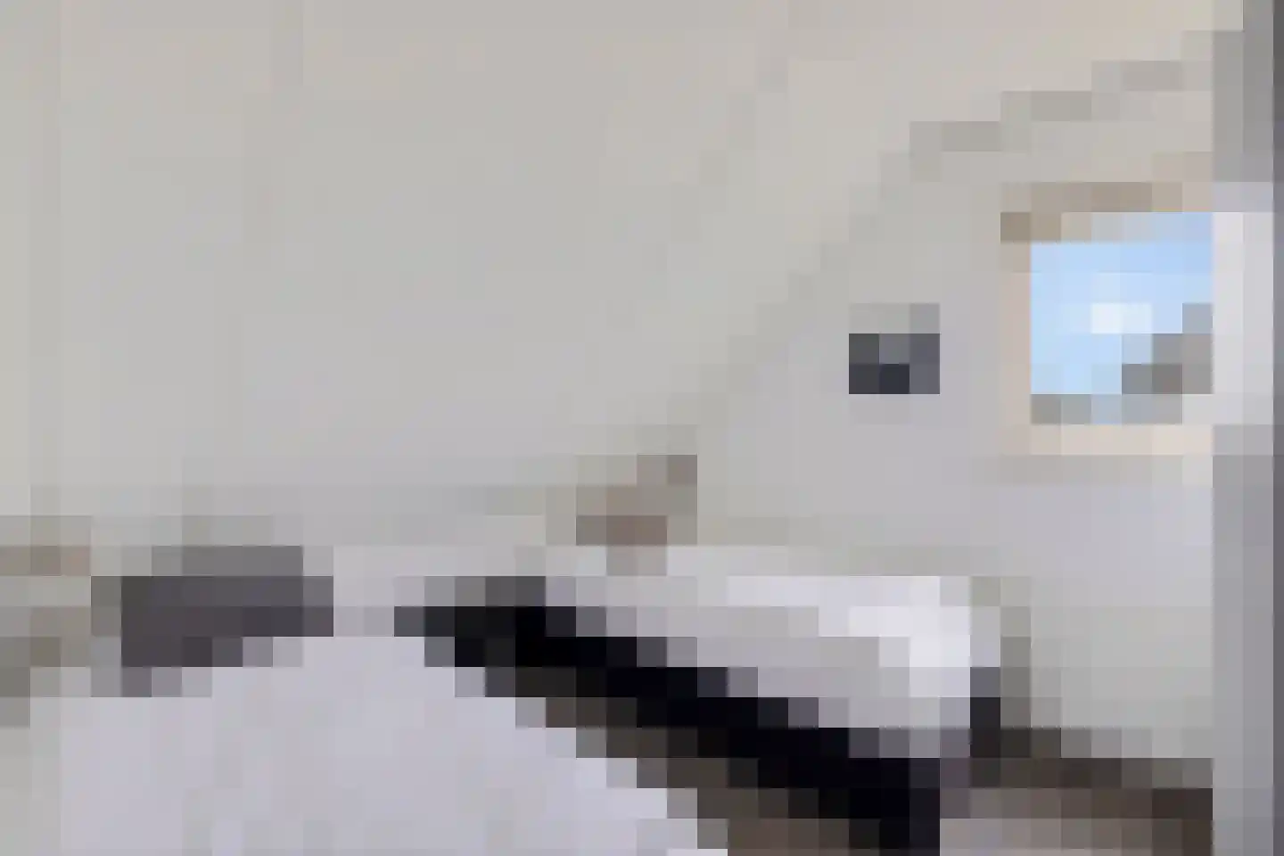 De Potten 56 Offingawier thumbnail 17