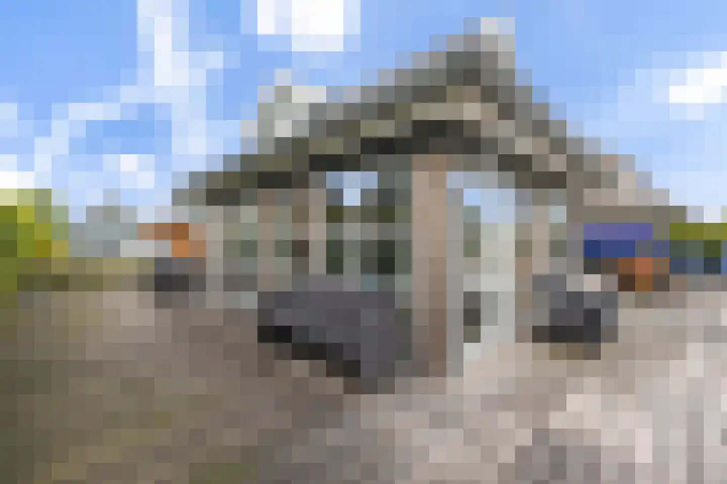 De Potten 56 Offingawier thumbnail 28