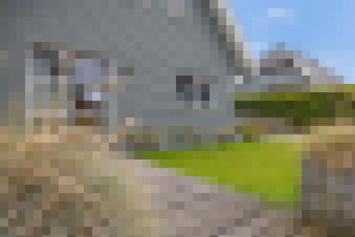De Potten 56 Offingawier thumbnail 38