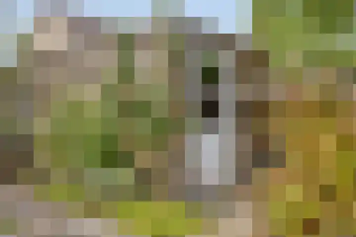 De Pottenbakker 45 Veldhoven thumbnail 31