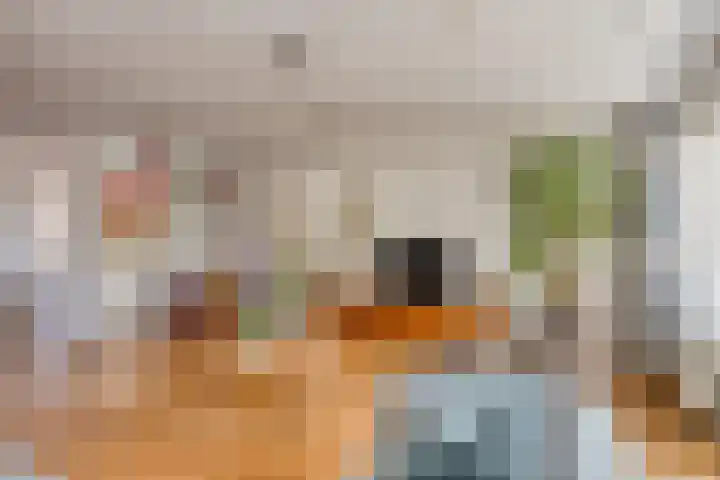 De Pottenbakker 45 Veldhoven thumbnail 4