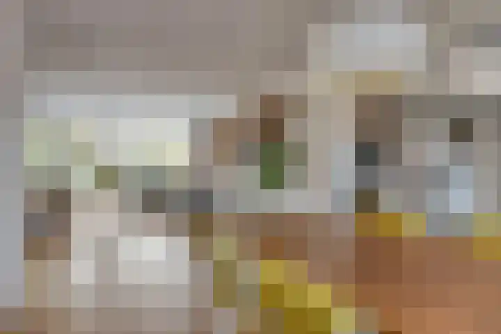 De Pottenbakker 45 Veldhoven thumbnail 8