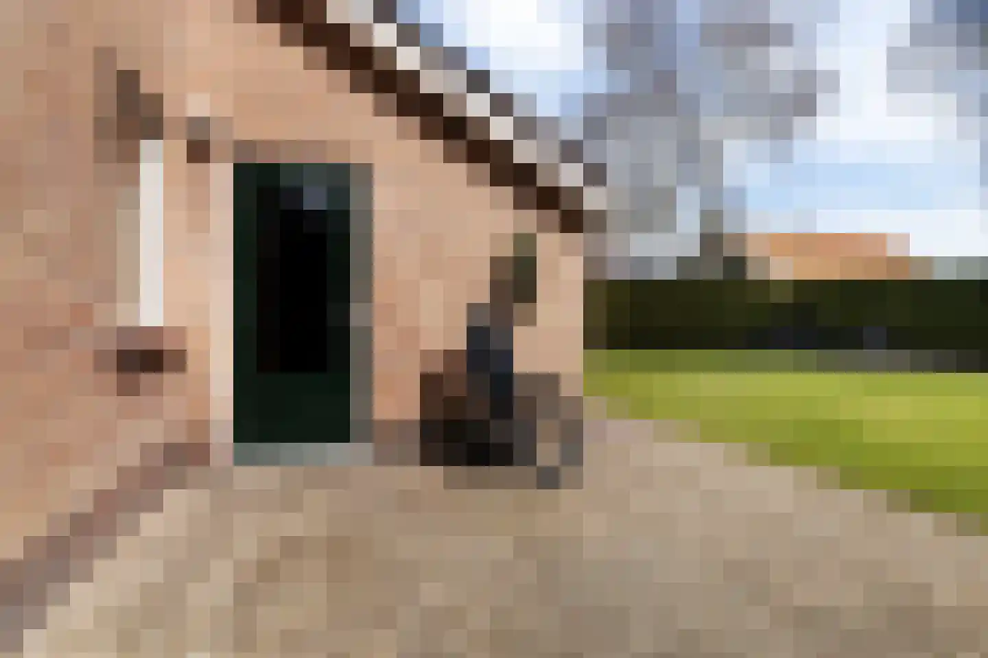 De Potterij 27 Siddeburen thumbnail 11