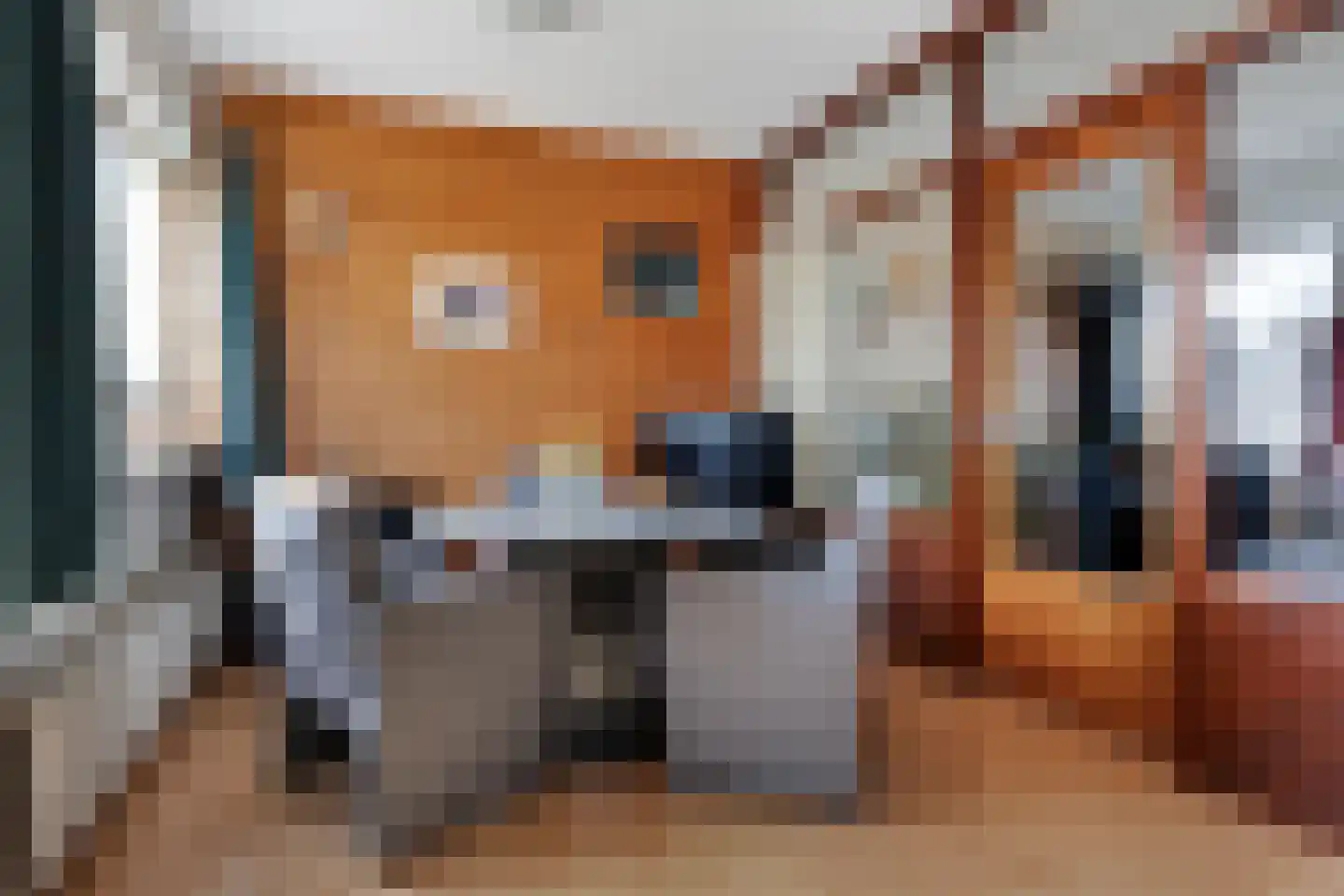 De Potterij 27 Siddeburen thumbnail 29