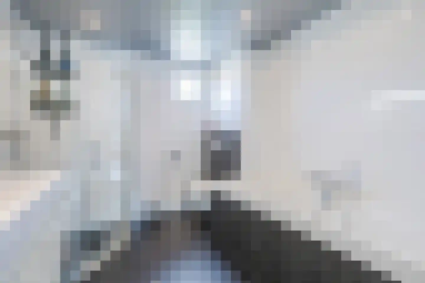 De Praam 10 Hoogeveen thumbnail 22
