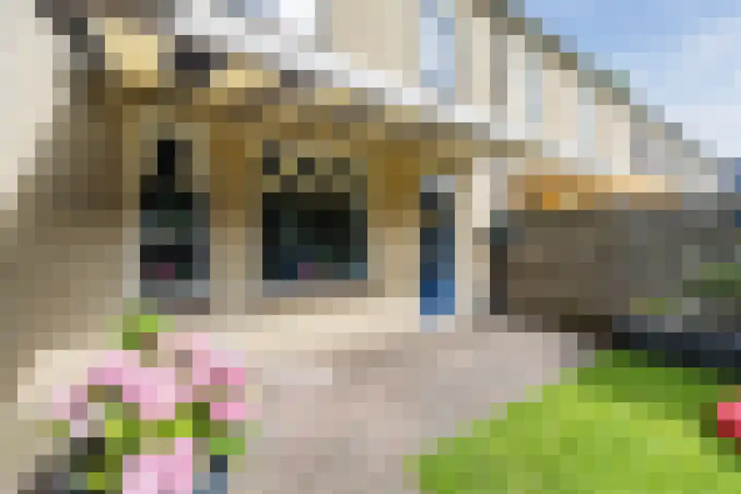 De Praam 10 Hoogeveen thumbnail 35