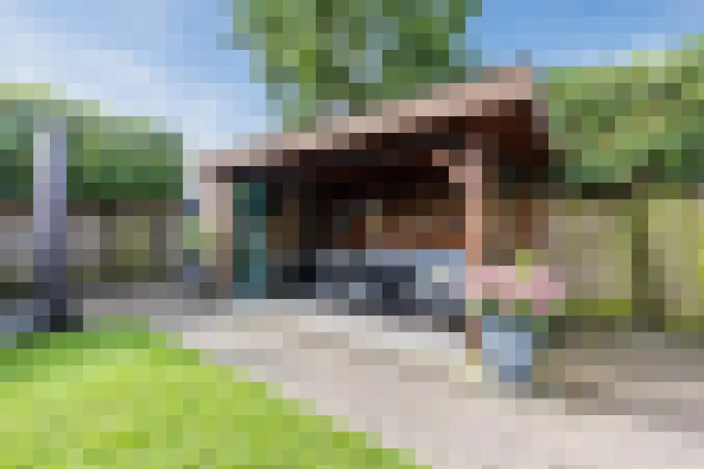 De Praam 10 Hoogeveen thumbnail 37