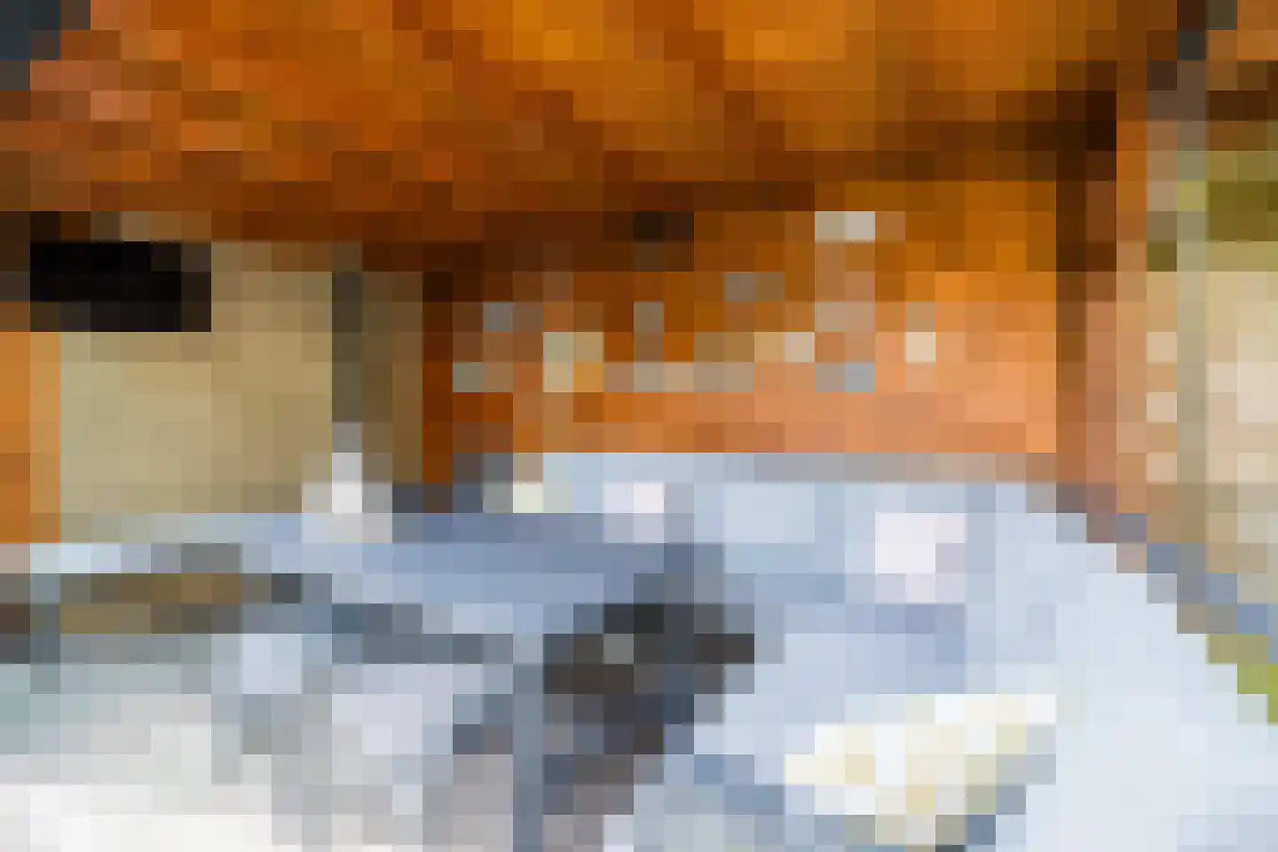 De Praam 10 Hoogeveen thumbnail 38