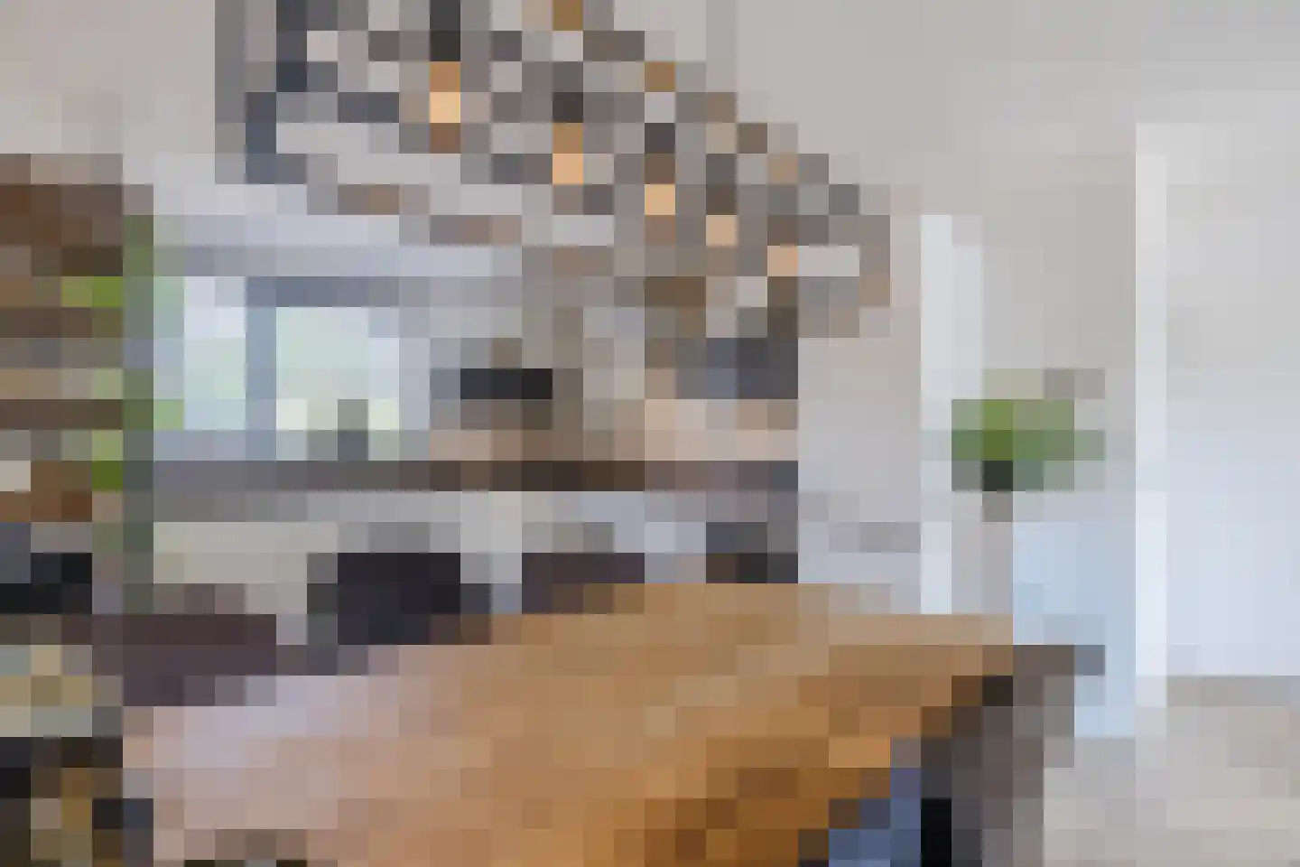 De Praam 10 Hoogeveen thumbnail 7