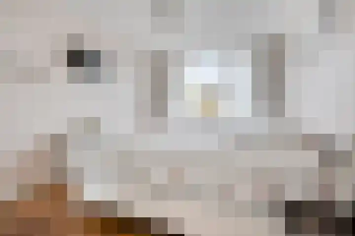 De Praam 12 Dedemsvaart thumbnail 19