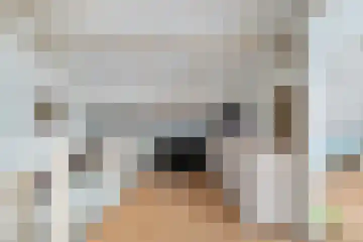 De Praam 12 Dedemsvaart thumbnail 26