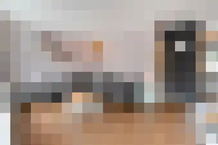 De Praam 12 Dedemsvaart thumbnail 8
