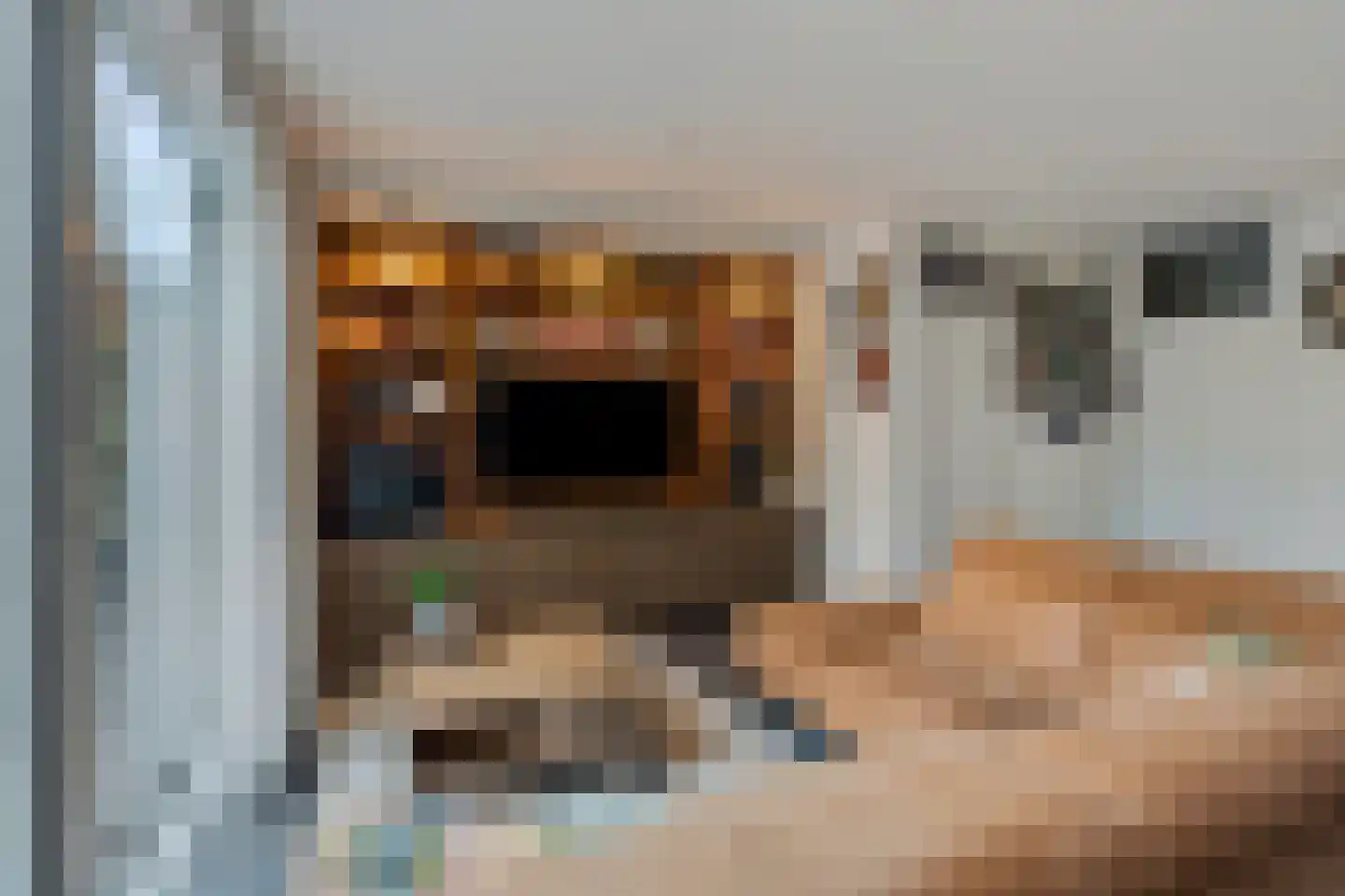 de Praam 124 Tiel thumbnail 11