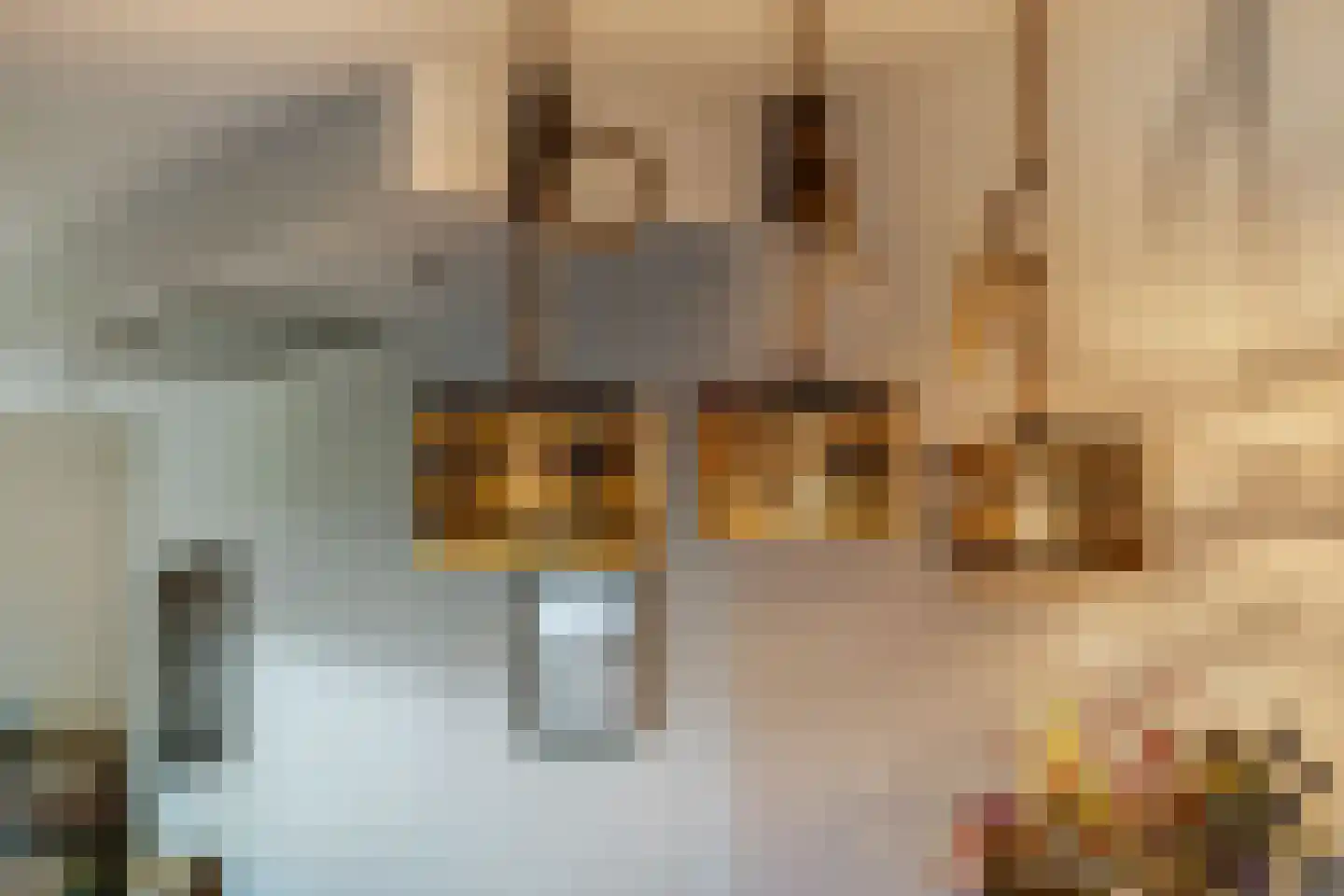 de Praam 124 Tiel thumbnail 15