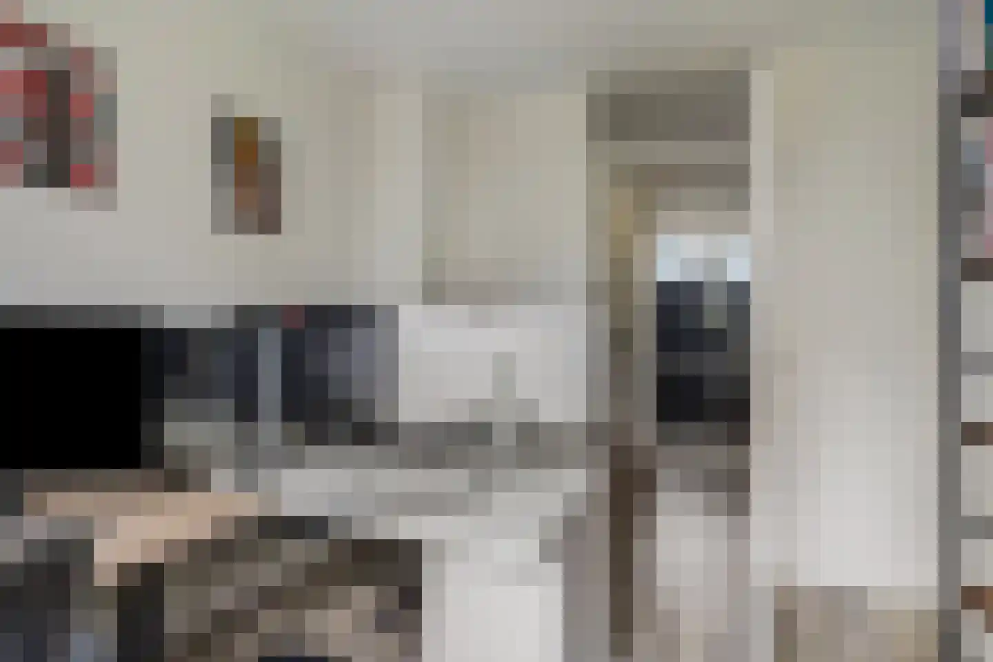de Praam 124 Tiel thumbnail 29