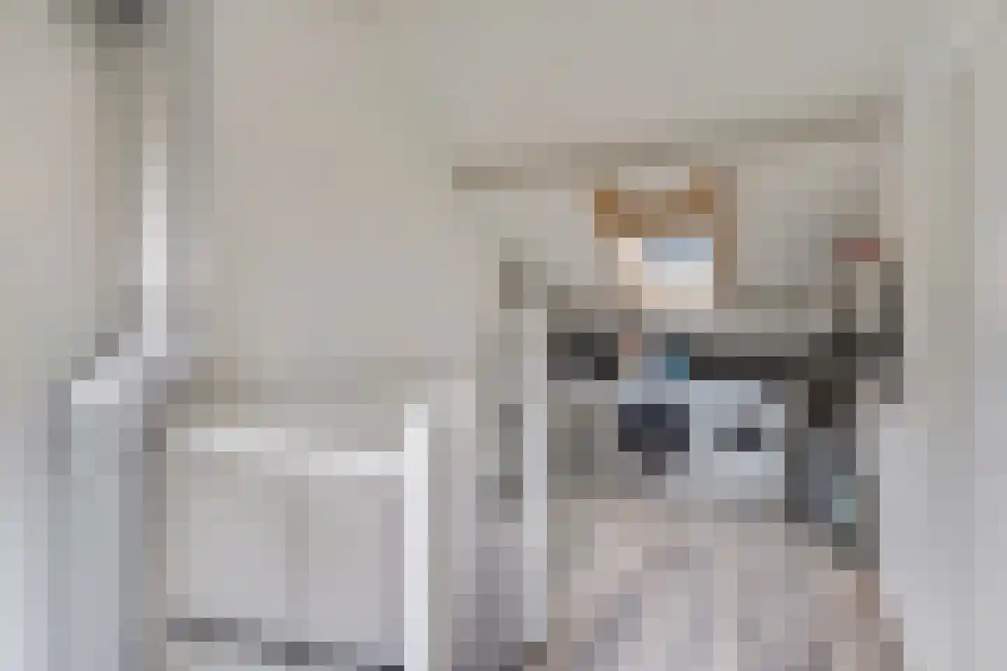 de Praam 124 Tiel thumbnail 30