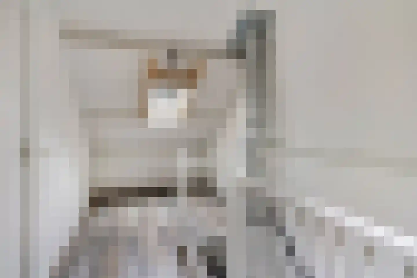 de Praam 124 Tiel thumbnail 31