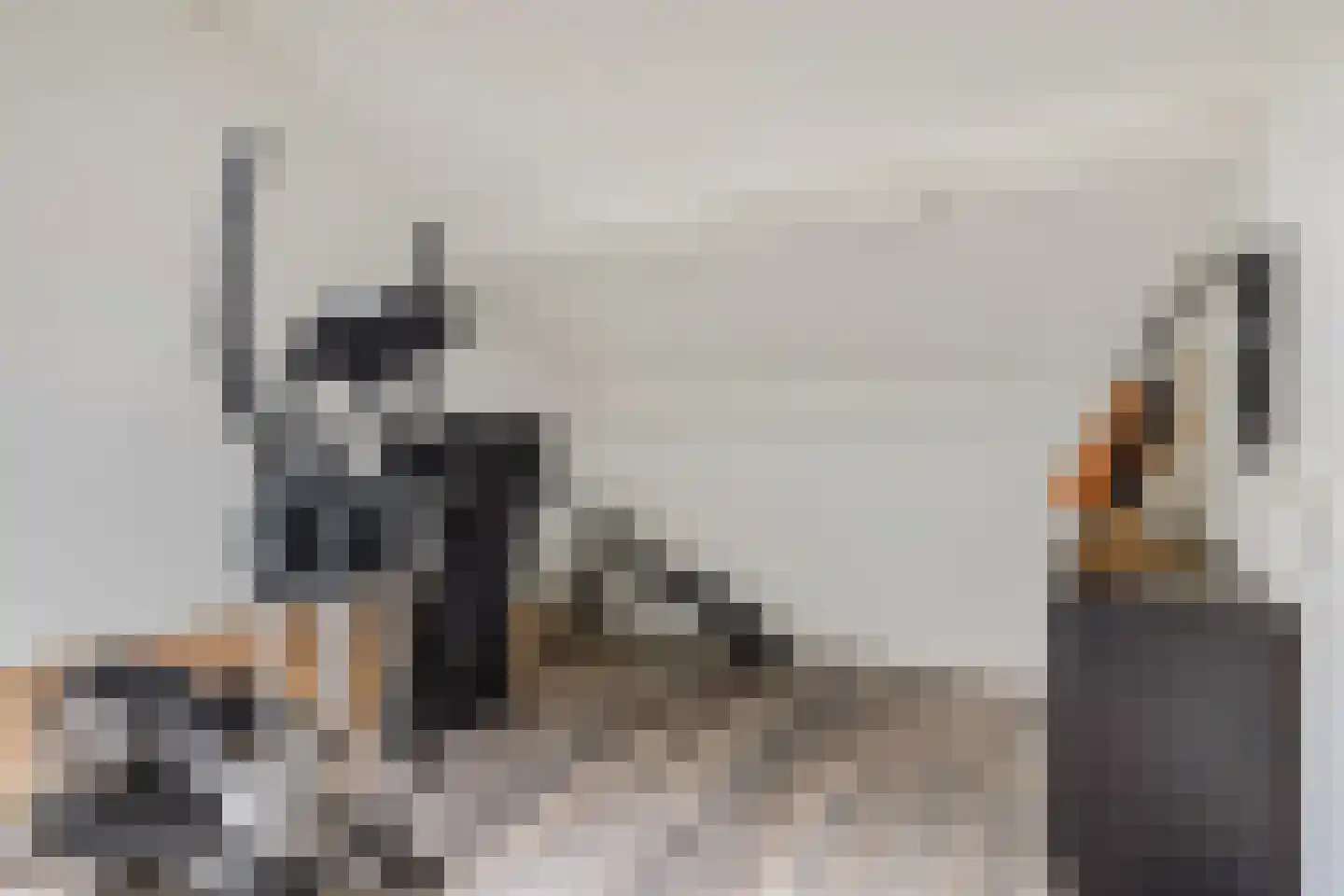 de Praam 124 Tiel thumbnail 33