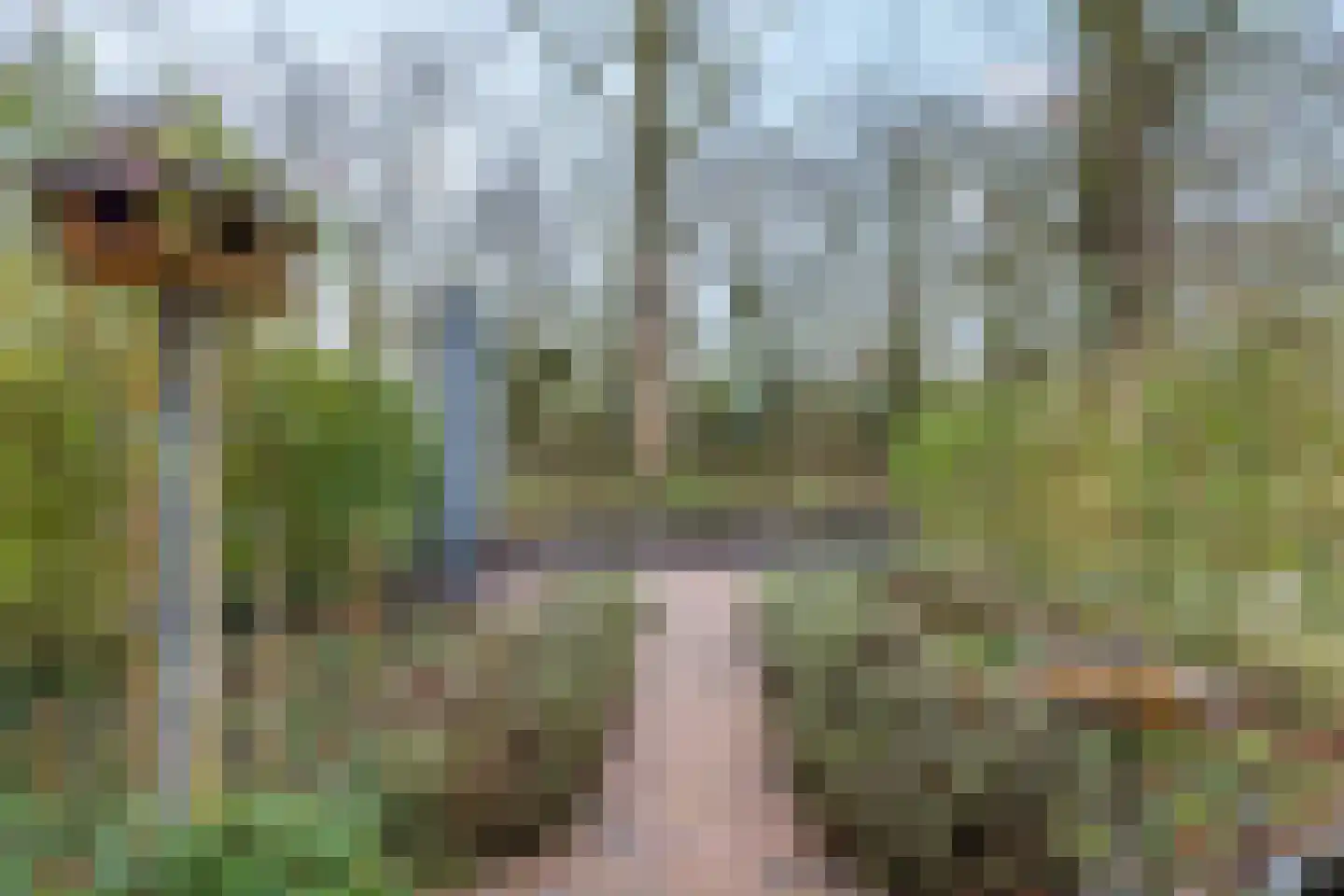 de Praam 124 Tiel thumbnail 37