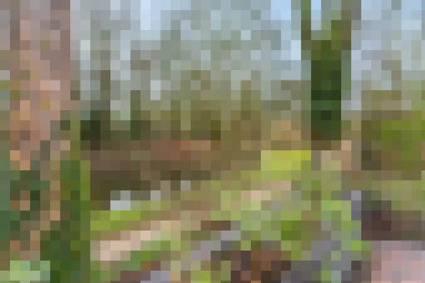 de Praam 124 Tiel thumbnail 38